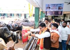 जन्मदिवस के अवसर पर वित्त मंत्री श्री ओपी चौधरी ने की गौ-सेवा, संरक्षण के प्रयासों को सराहा