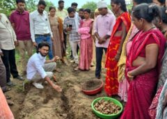 अब हल्दी से बदलेगी वनांचल की तस्वीर, धमतरी का नगरी बनेगा ‘टर्मरिक हब’