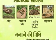 विशेष लेख : सीड बॉल अभियान- हरियाली बढ़ाने का सरल और प्रभावी माध्यम, जनभागीदारी से साकार हो रहा हरित छत्तीसगढ़ का संकल्प