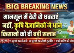 धान किसानों के लिए राहतभरी खबर, मानसून की देरी से फसल पर नहीं पड़ेगा बड़ा असर; वैज्ञानिकों ने जारी की अहम कृषि सलाह