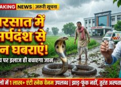 छत्तीसगढ़ स्वास्थ्य विभाग अलर्ट: 33 जिलों में एंटी स्नेक वेनम का पर्याप्त भंडार, सर्पदंश के बाद झाड़-फूंक नहीं, तुरंत अस्पताल पहुंचने की अपील