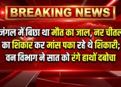 जंगल में बिछा था मौत का जाल, नर चीतल का शिकार कर मांस पका रहे थे शिकारी; वन विभाग ने सात को रंगे हाथों दबोचा