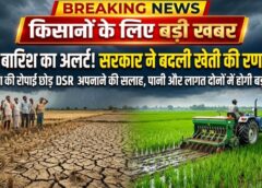 किसानों के लिए बड़ा अलर्ट! कम बारिश की आशंका के बीच सरकार ने बदली खेती की रणनीति, धान की रोपाई छोड़ DSR अपनाने की अपील