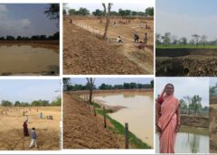 मानसून बना जल संरक्षण अभियान का साथी, ‘मोर गांव-मोर पानी’ से भरे तालाब और डबरियां; ग्रामीण अर्थव्यवस्था को मिलेगी नई मजबूती