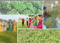 विशेष लेख : धमतरी मॉडल बना देश के लिए प्रेरणा