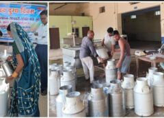 धान के कटोरे से डेयरी हब बनने की ओर धमतरी! सहकारी मॉडल, आधुनिक डेयरी और महिला नेतृत्व से बदल रही ग्रामीण अर्थव्यवस्था