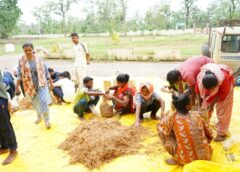 बंदूक से बिजनेस तक: सुकमा के 25 आत्मसमर्पित युवाओं ने मशरूम उत्पादन प्रशिक्षण से चुनी आत्मनिर्भरता की राह