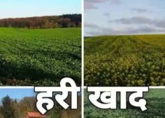 जशपुर के किसानों के लिए बड़ी सलाह, हरी खाद और वर्मी कम्पोस्ट अपनाकर बढ़ाएं मिट्टी की उर्वराशक्ति; कृषि विभाग ने जैविक खेती पर दिया विशेष जोर