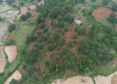 जशपुर का घोघर बना जल संरक्षण का मॉडल, 3000 वाटर एब्जॉर्प्शन टैंकों से भूजल संवर्धन और टिकाऊ कृषि को मिलेगा बड़ा सहारा