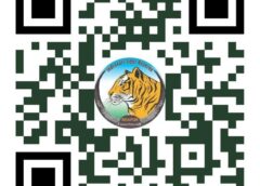 बाघों को बचाने के लिए दौड़ेगा छत्तीसगढ़! अंतरराष्ट्रीय बाघ दिवस पर बीजापुर में ‘रन फॉर इंद्रावती’ मैराथन, युवाओं से प्रकृति संरक्षण का बड़ा आह्वान