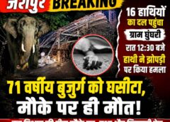 जशपुर में 16 हाथियों का आतंक! आधी रात झोपड़ी में घुसा जंगली हाथी, 71 वर्षीय बुजुर्ग को घसीटकर पटका, मौके पर ही दर्दनाक मौत से मचा हड़कंप