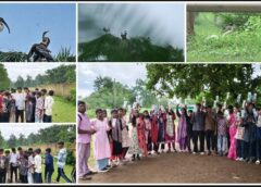 हरेली पर छत्तीसगढ़ में पक्षियों का महाउत्सव! 33 जिलों में 45 बर्ड वॉक, 1,000 से ज्यादा लोगों ने लिया हिस्सा—211 प्रजातियों का रिकॉर्ड दर्ज