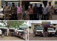 पुरई में मवेशियों के अवैध परिवहन पर उतई पुलिस का बड़ा शिकंजा! 3 भैंसों के साथ पिकअप, स्कॉर्पियो और बाइक जब्त, 8 पर हुई कार्रवाई