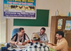 पशुपालन में आएगी नई क्रांति! धमतरी में 93 पशुपालकों को मिला 98.62 लाख का वित्तीय संबल, दाना-पानी से लेकर इलाज तक आसान, आय बढ़ने की उम्मीद
